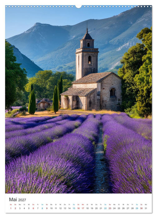 Der Sommer blüht violett (CALVENDO Premium Wandkalender 2027)