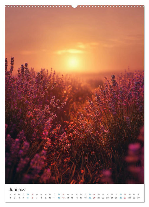 Der Sommer blüht violett (CALVENDO Premium Wandkalender 2027)