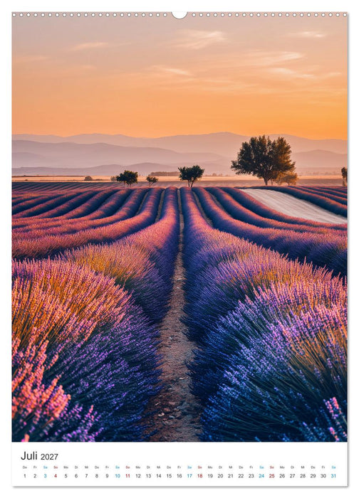 Der Sommer blüht violett (CALVENDO Premium Wandkalender 2027)
