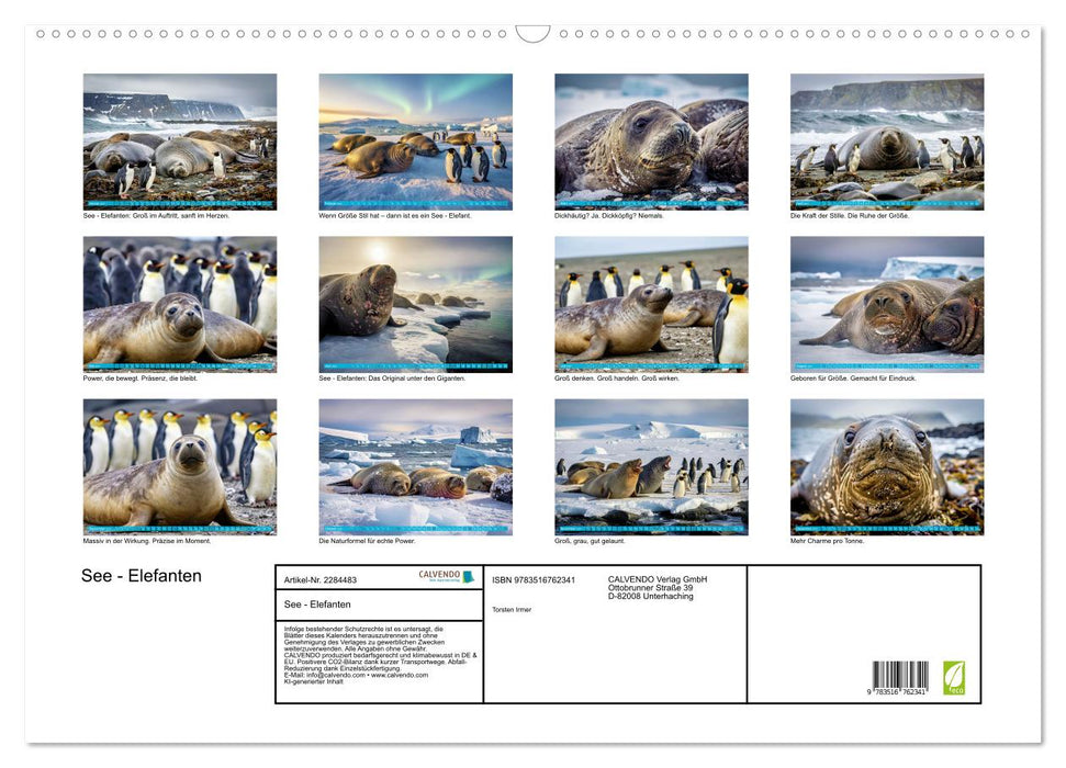 See - Elefanten (CALVENDO Wandkalender 2027)