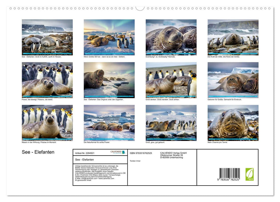 See - Elefanten (CALVENDO Premium Wandkalender 2027)