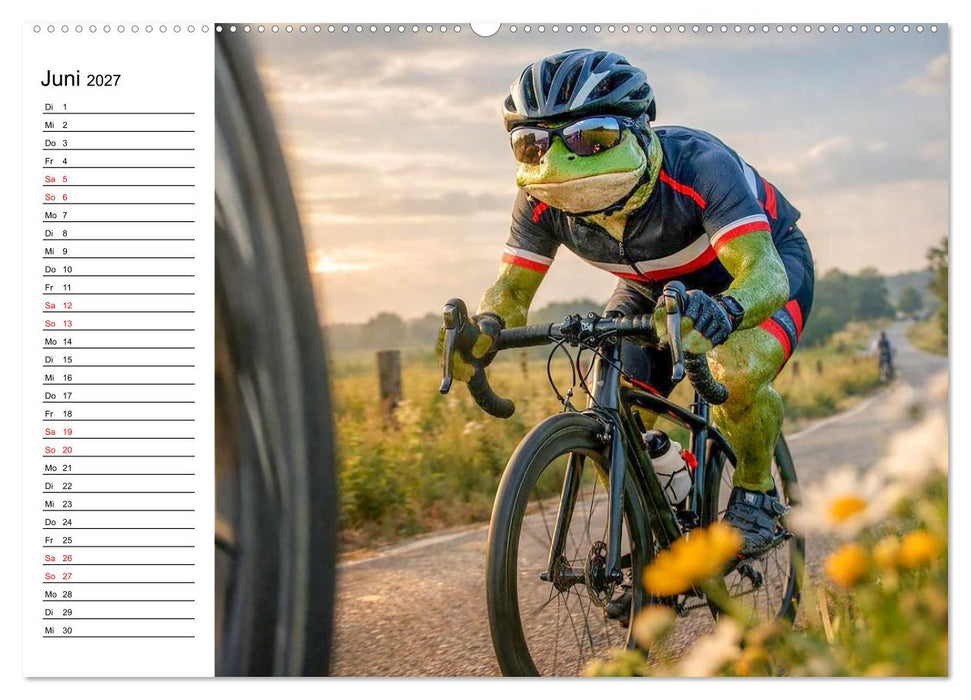 Sportfrosch (CALVENDO Wandkalender 2027)