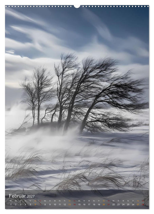 Elemente der Natur (CALVENDO Premium Wandkalender 2027)