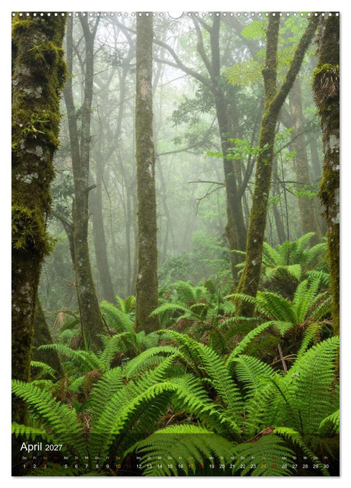 Elemente der Natur (CALVENDO Premium Wandkalender 2027)