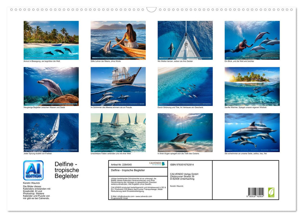Delfine - tropische Begleiter (CALVENDO Wandkalender 2027)