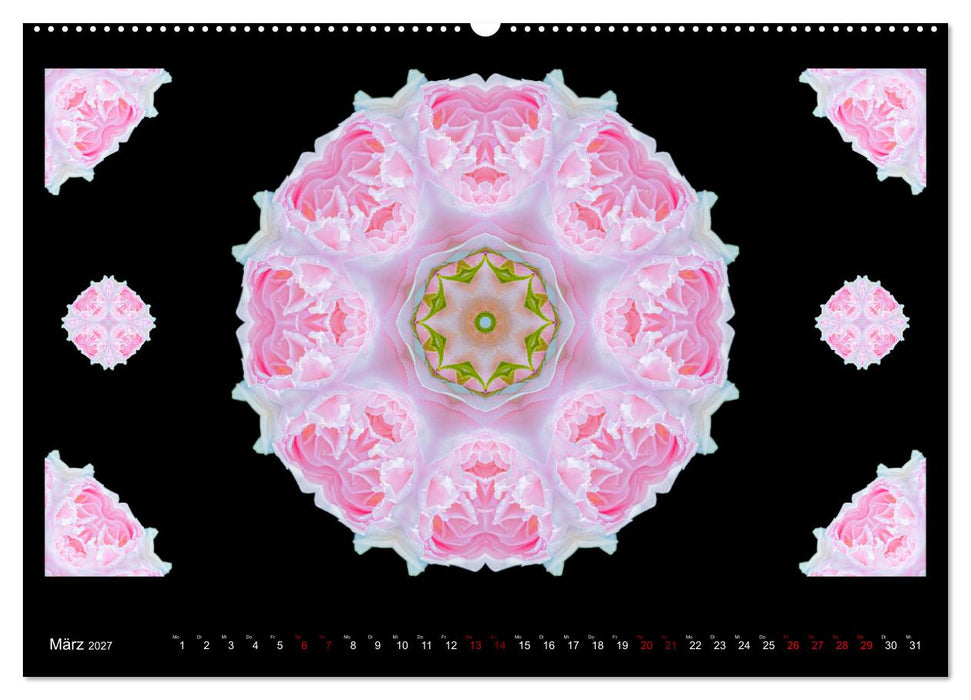 ROSEN MANDALAS (CALVENDO Wandkalender 2027)