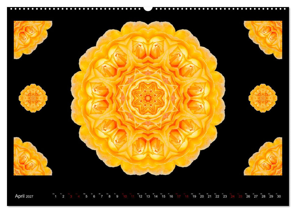 ROSEN MANDALAS (CALVENDO Wandkalender 2027)