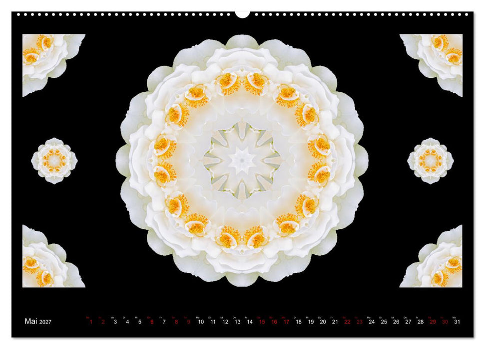 ROSEN MANDALAS (CALVENDO Wandkalender 2027)