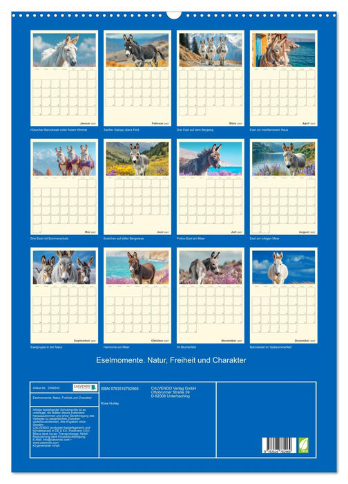 Eselmomente. Natur, Freiheit und Charakter (CALVENDO Wandkalender 2027)