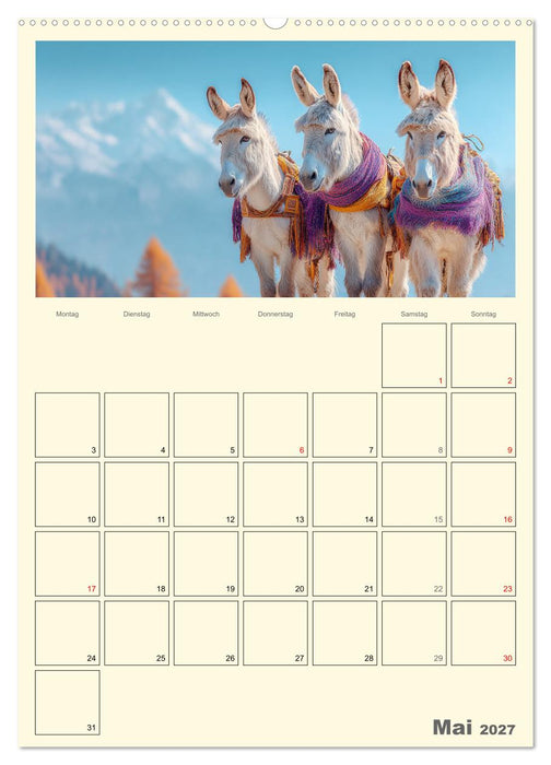 Eselmomente. Natur, Freiheit und Charakter (CALVENDO Wandkalender 2027)