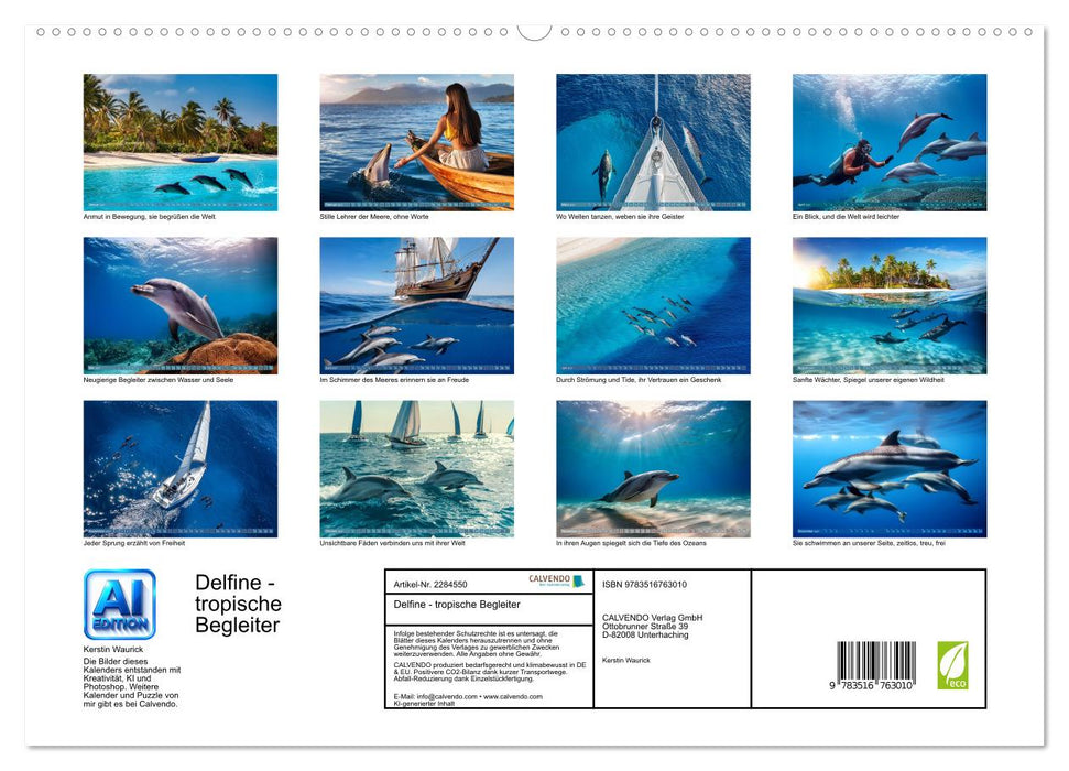 Delfine - tropische Begleiter (CALVENDO Premium Wandkalender 2027)