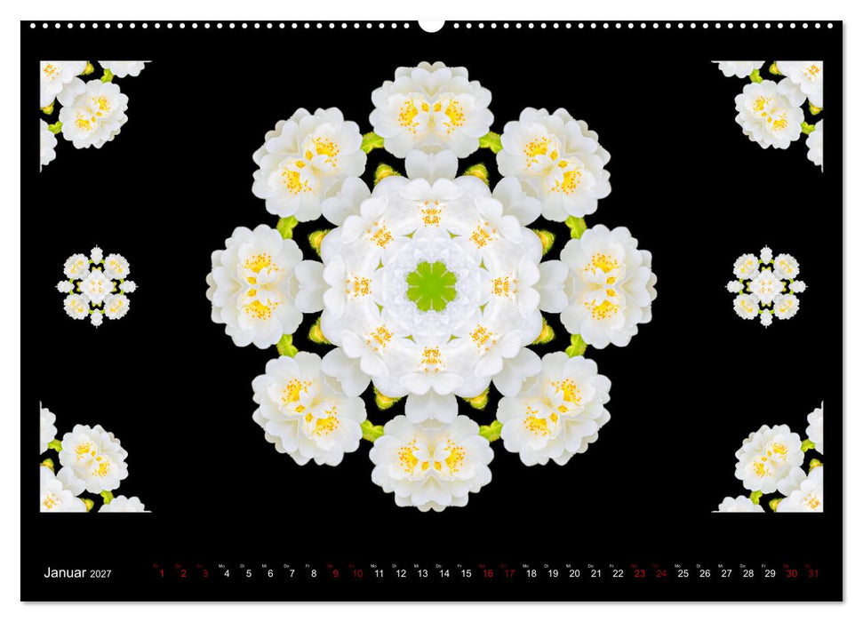 ROSEN MANDALAS (CALVENDO Premium Wandkalender 2027)