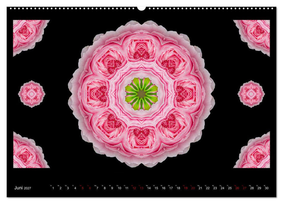 ROSEN MANDALAS (CALVENDO Premium Wandkalender 2027)