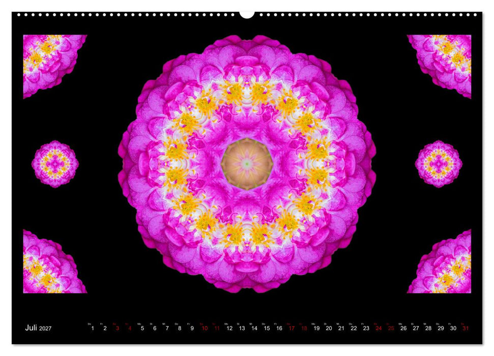 ROSEN MANDALAS (CALVENDO Premium Wandkalender 2027)