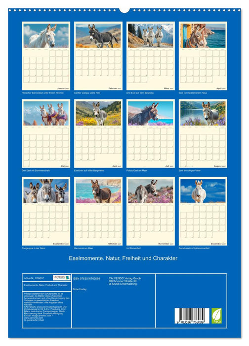 Eselmomente. Natur, Freiheit und Charakter (CALVENDO Premium Wandkalender 2027)