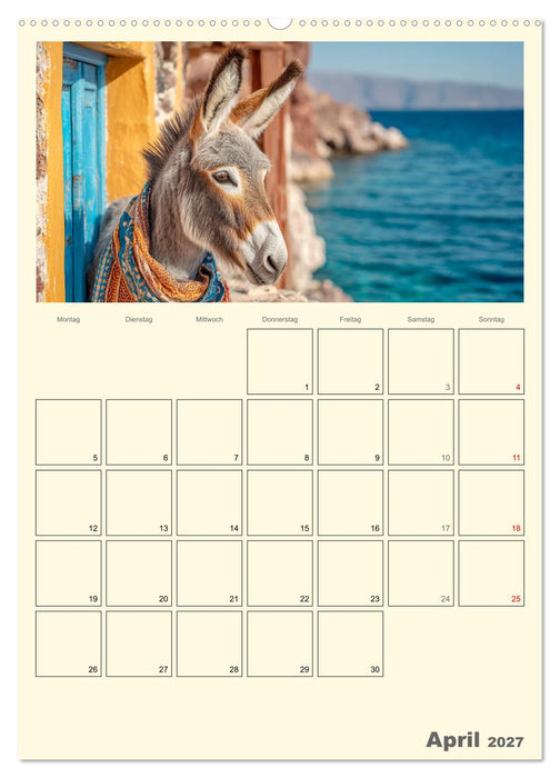 Eselmomente. Natur, Freiheit und Charakter (CALVENDO Premium Wandkalender 2027)