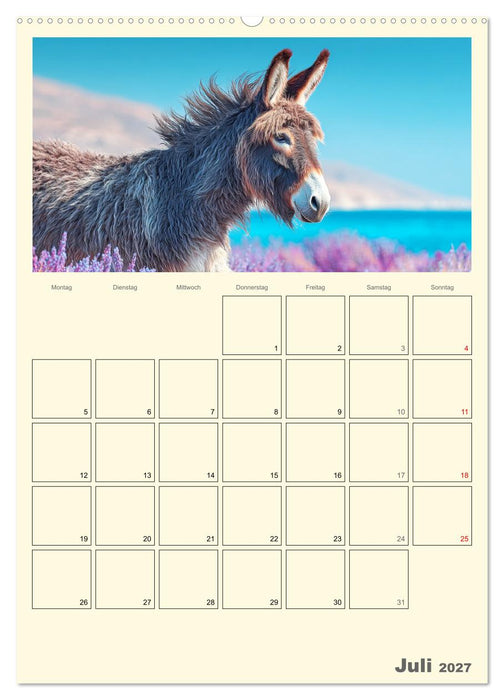 Eselmomente. Natur, Freiheit und Charakter (CALVENDO Premium Wandkalender 2027)
