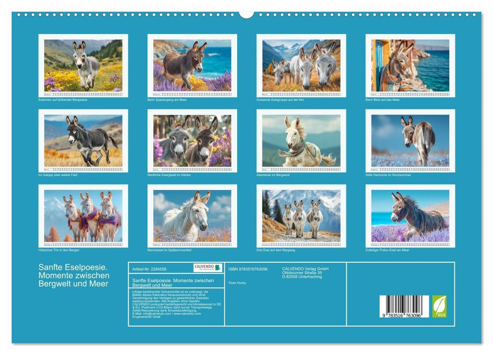 Sanfte Eselpoesie. Momente zwischen Bergwelt und Meer (CALVENDO Premium Wandkalender 2027)