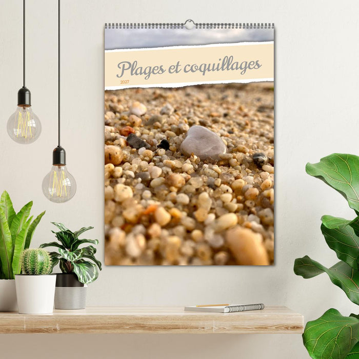 Plages et coquillages (CALVENDO Calendrier mensuel 2027)