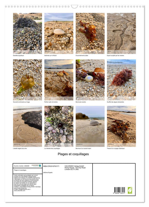 Plages et coquillages (CALVENDO Calendrier mensuel 2027)