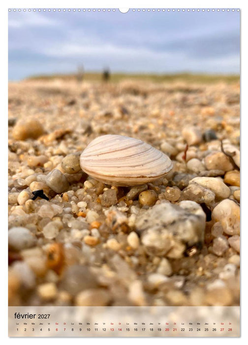 Plages et coquillages (CALVENDO Calendrier mensuel 2027)