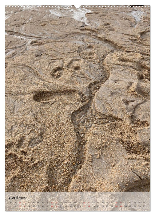 Plages et coquillages (CALVENDO Calendrier mensuel 2027)