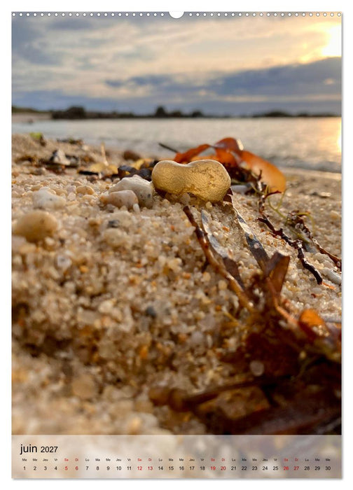 Plages et coquillages (CALVENDO Calendrier mensuel 2027)