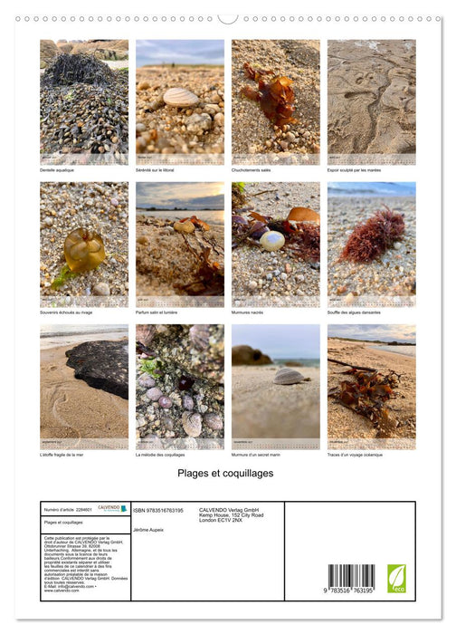 Plages et coquillages (CALVENDO Calendrier supérieur 2027)