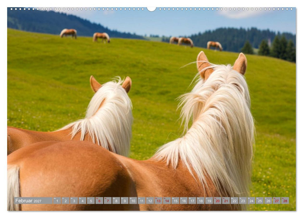 Alpentäler und Haflinger Pferde (CALVENDO Wandkalender 2027)