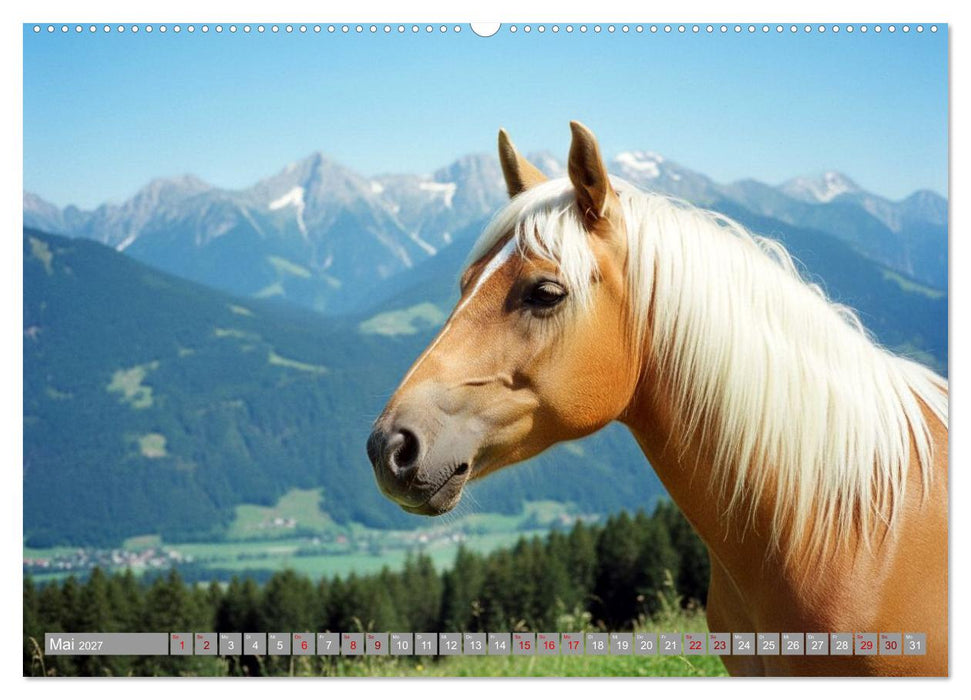 Alpentäler und Haflinger Pferde (CALVENDO Premium Wandkalender 2027)