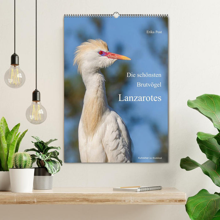 Die schönsten Brutvögel Lanzarotes (CALVENDO Wandkalender 2027)
