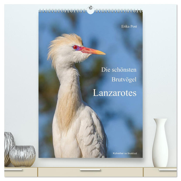 Die schönsten Brutvögel Lanzarotes (CALVENDO Premium Wandkalender 2027)