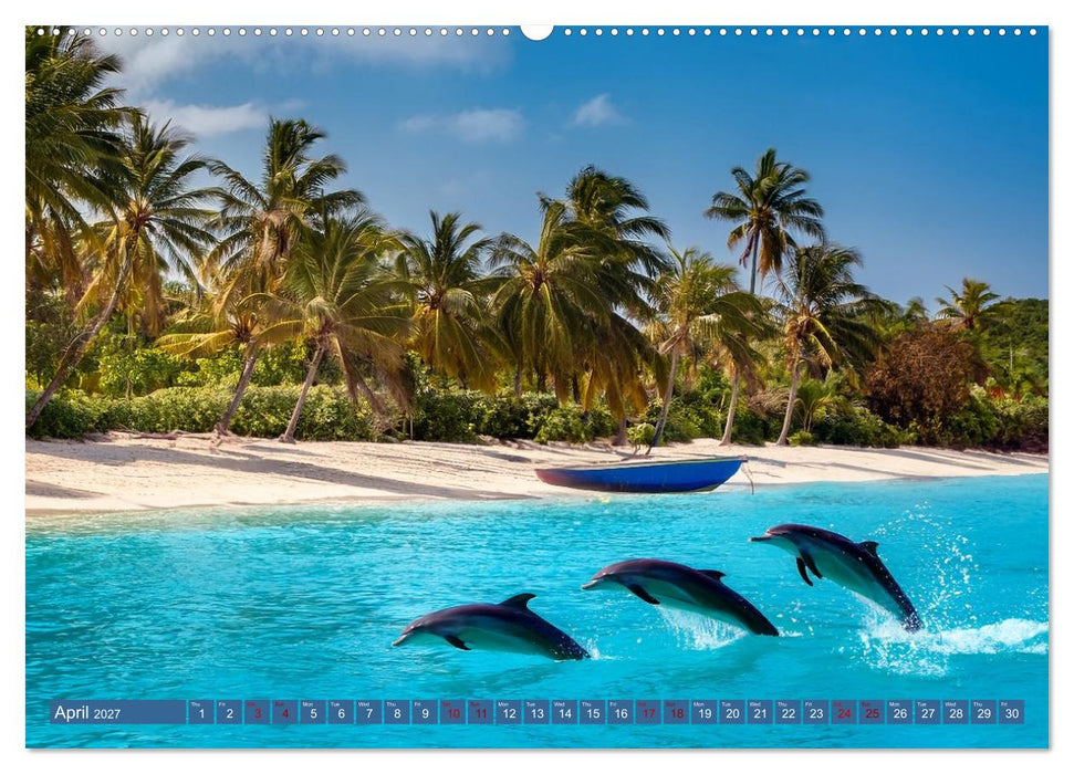 When Dolphins Dance with Us (CALVENDO Monthly Calendar 2027)