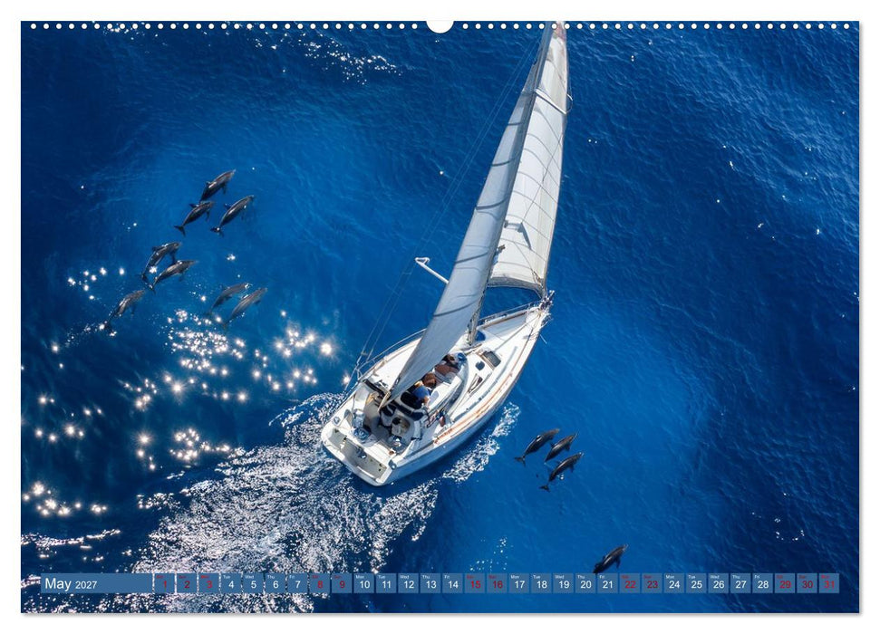 When Dolphins Dance with Us (CALVENDO Monthly Calendar 2027)