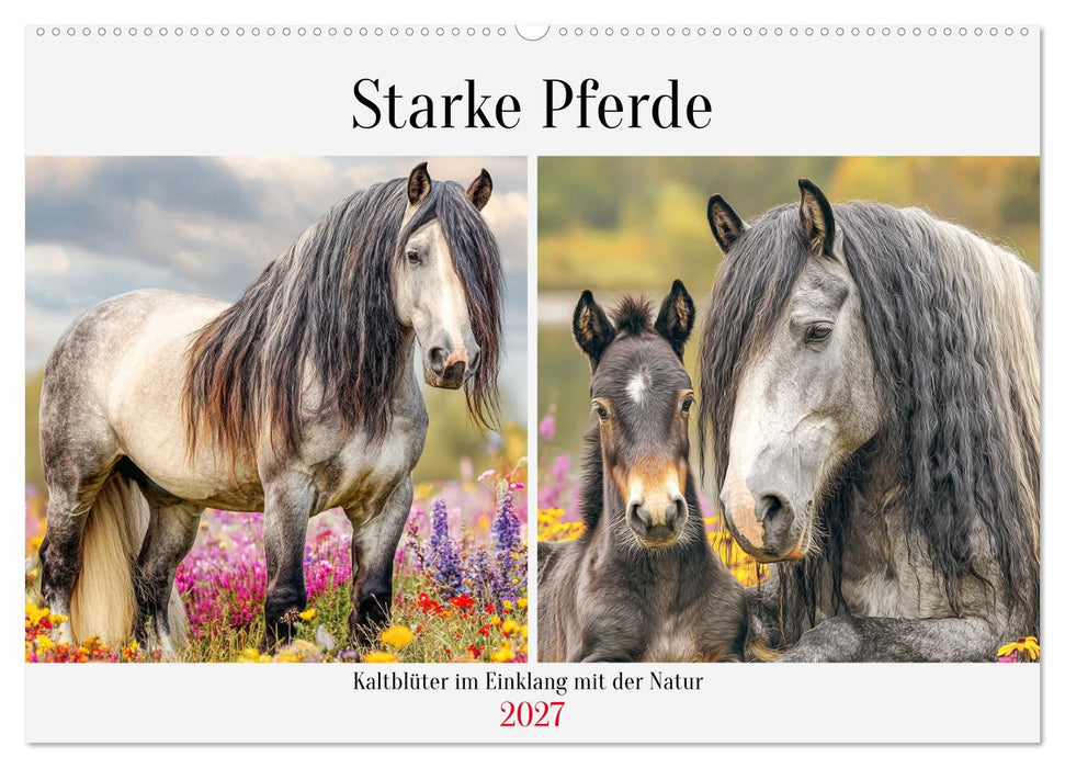 Starke Pferde. Kaltblüter im Einklang mit der Natur (CALVENDO Wandkalender 2027)
