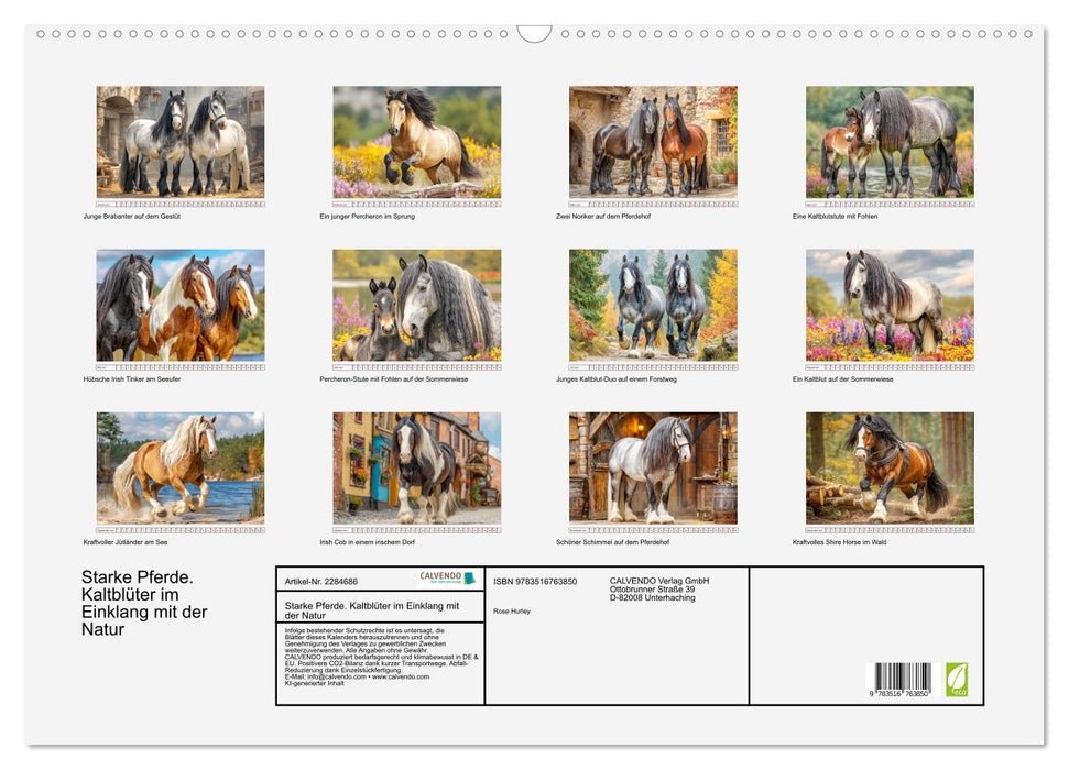 Starke Pferde. Kaltblüter im Einklang mit der Natur (CALVENDO Wandkalender 2027)
