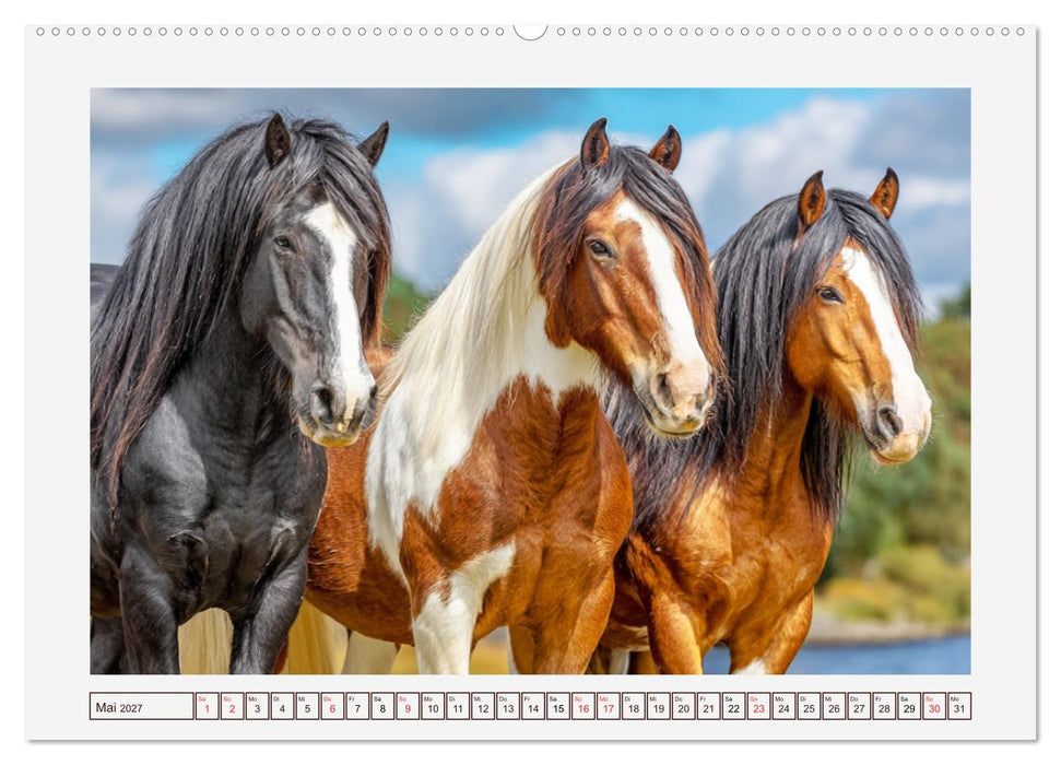 Starke Pferde. Kaltblüter im Einklang mit der Natur (CALVENDO Wandkalender 2027)