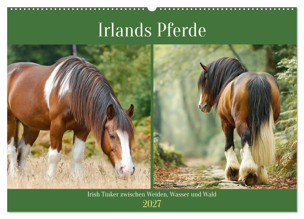Irlands Pferde. Irish Tinker zwischen Weiden, Wasser und Wald (CALVENDO Wandkalender 2027)