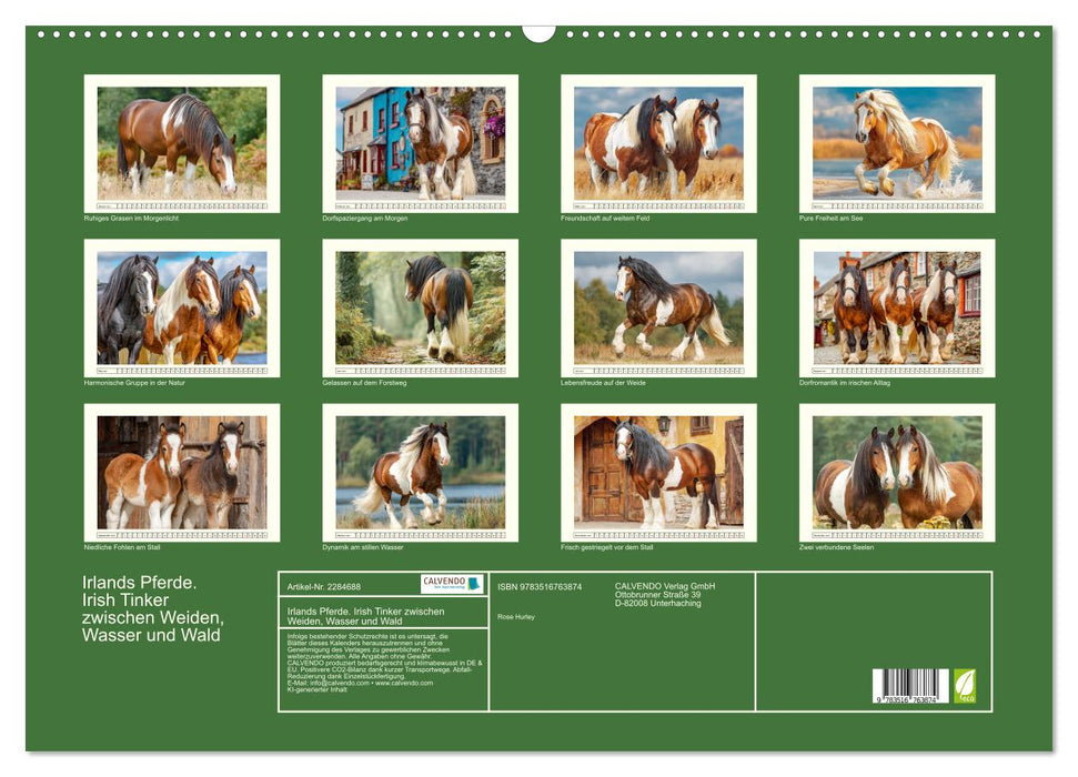 Irlands Pferde. Irish Tinker zwischen Weiden, Wasser und Wald (CALVENDO Wandkalender 2027)