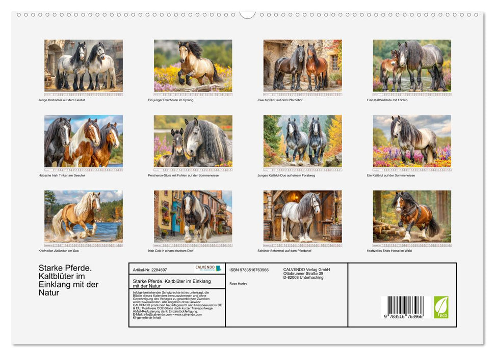 Starke Pferde. Kaltblüter im Einklang mit der Natur (CALVENDO Premium Wandkalender 2027)
