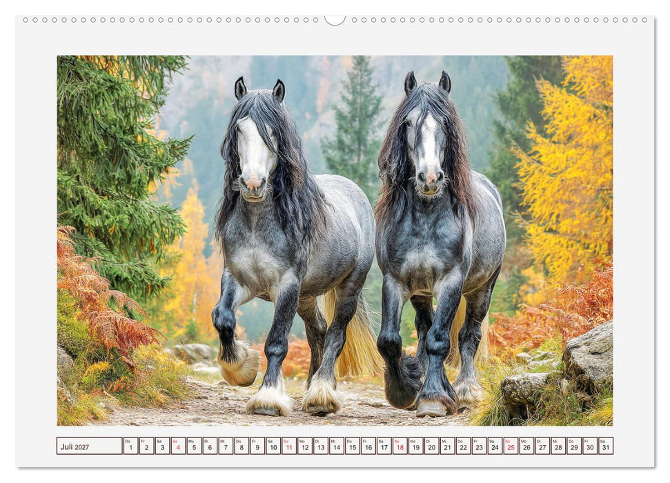Starke Pferde. Kaltblüter im Einklang mit der Natur (CALVENDO Premium Wandkalender 2027)