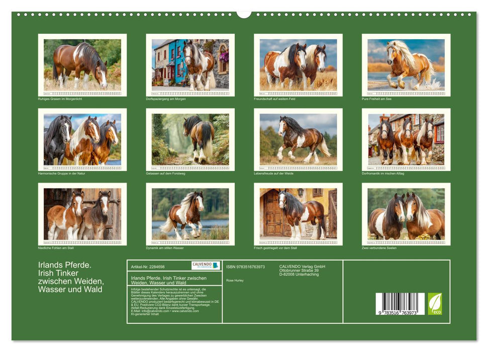Irlands Pferde. Irish Tinker zwischen Weiden, Wasser und Wald (CALVENDO Premium Wandkalender 2027)