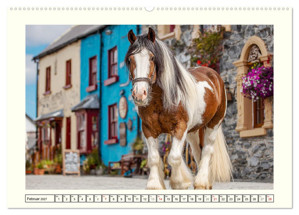 Irlands Pferde. Irish Tinker zwischen Weiden, Wasser und Wald (CALVENDO Premium Wandkalender 2027)