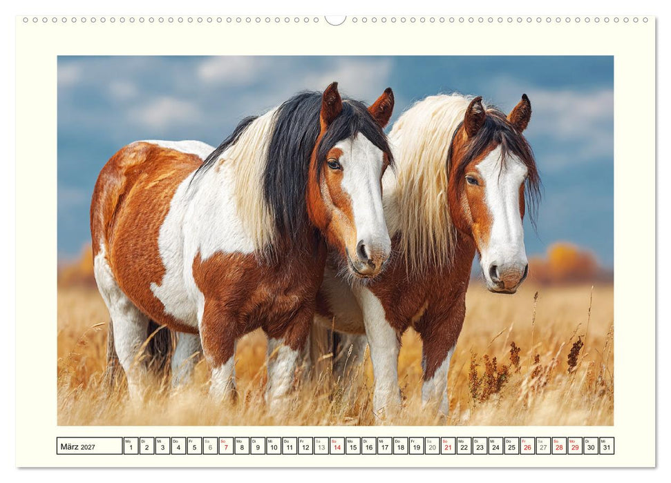 Irlands Pferde. Irish Tinker zwischen Weiden, Wasser und Wald (CALVENDO Premium Wandkalender 2027)