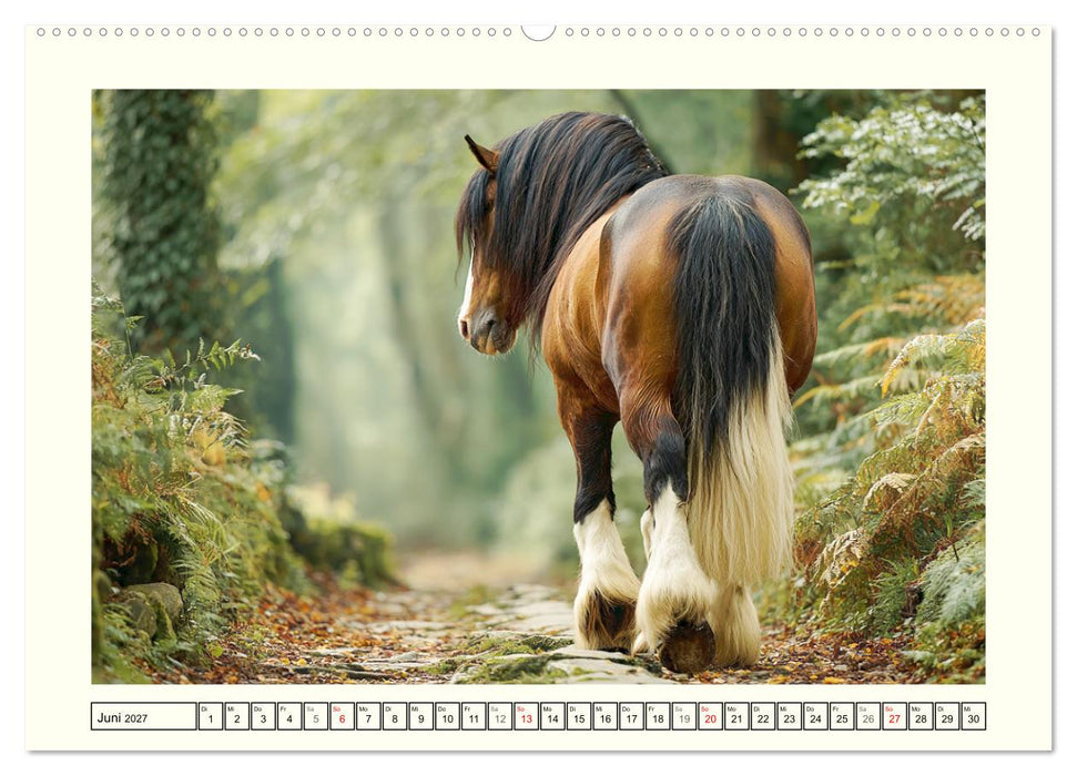 Irlands Pferde. Irish Tinker zwischen Weiden, Wasser und Wald (CALVENDO Premium Wandkalender 2027)