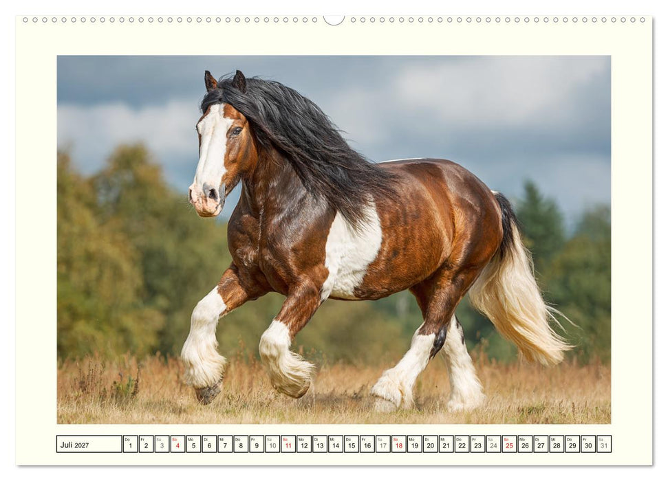 Irlands Pferde. Irish Tinker zwischen Weiden, Wasser und Wald (CALVENDO Premium Wandkalender 2027)