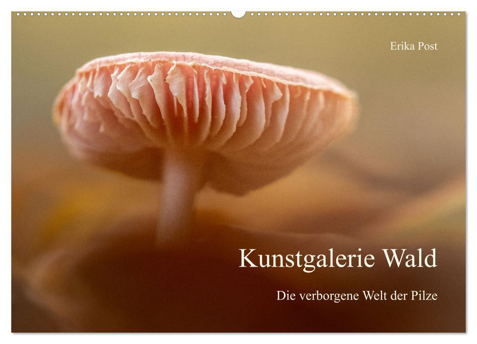 Kunstgalerie Wald - die verborgene Welt der Pilze (CALVENDO Wandkalender 2027)