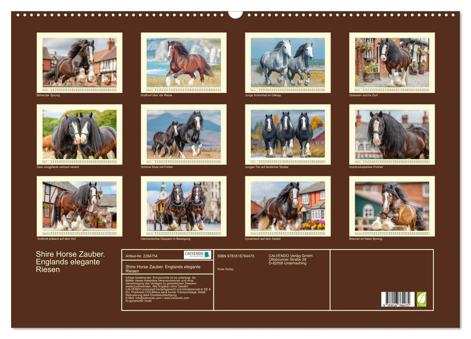 Shire Horse Zauber. Englands elegante Riesen (CALVENDO Wandkalender 2027)