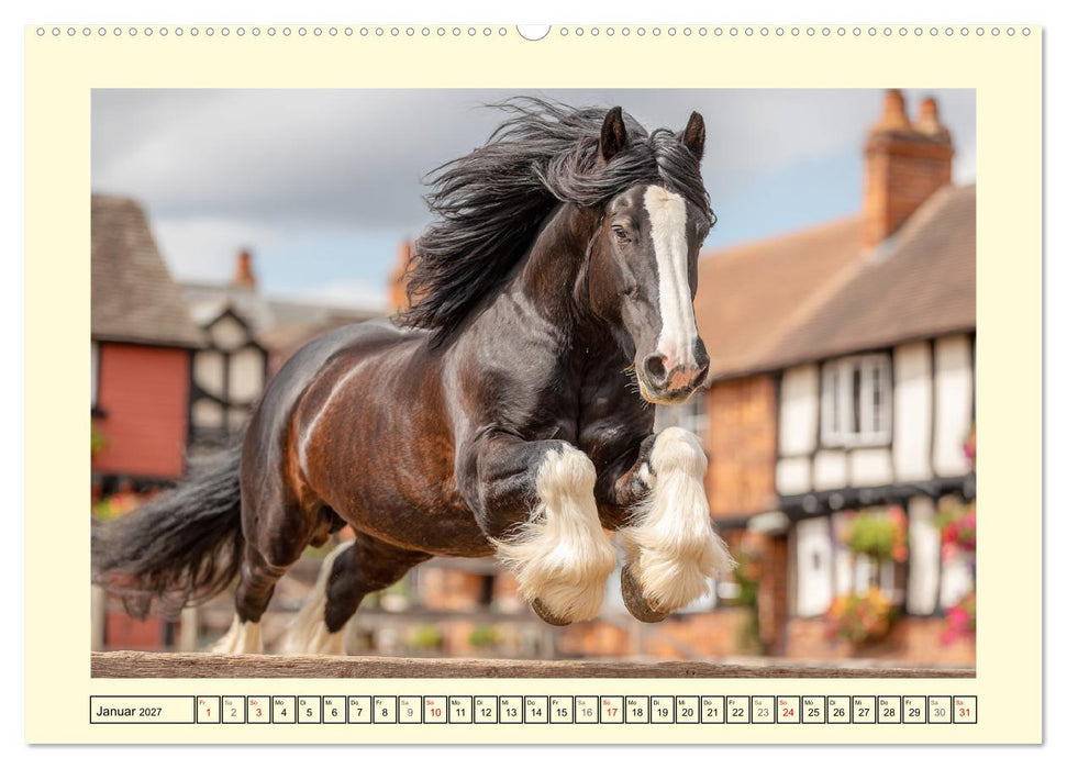 Shire Horse Zauber. Englands elegante Riesen (CALVENDO Wandkalender 2027)