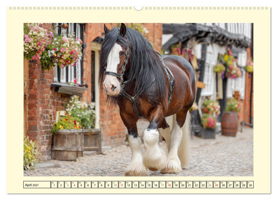 Shire Horse Zauber. Englands elegante Riesen (CALVENDO Wandkalender 2027)